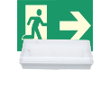 Evacuation and emergency lighting